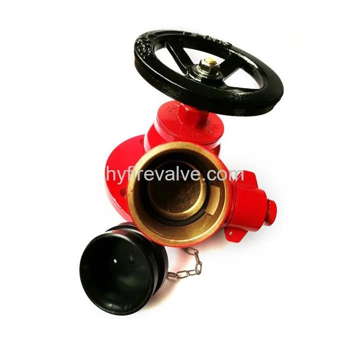 Landing Valve Flange Type